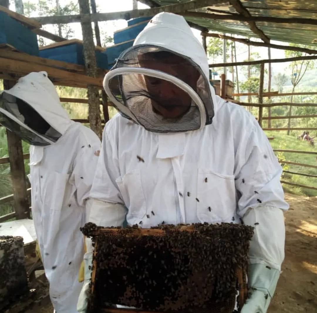 Beekeeping into the Mountains of Kigali city or in rural areas away from the city