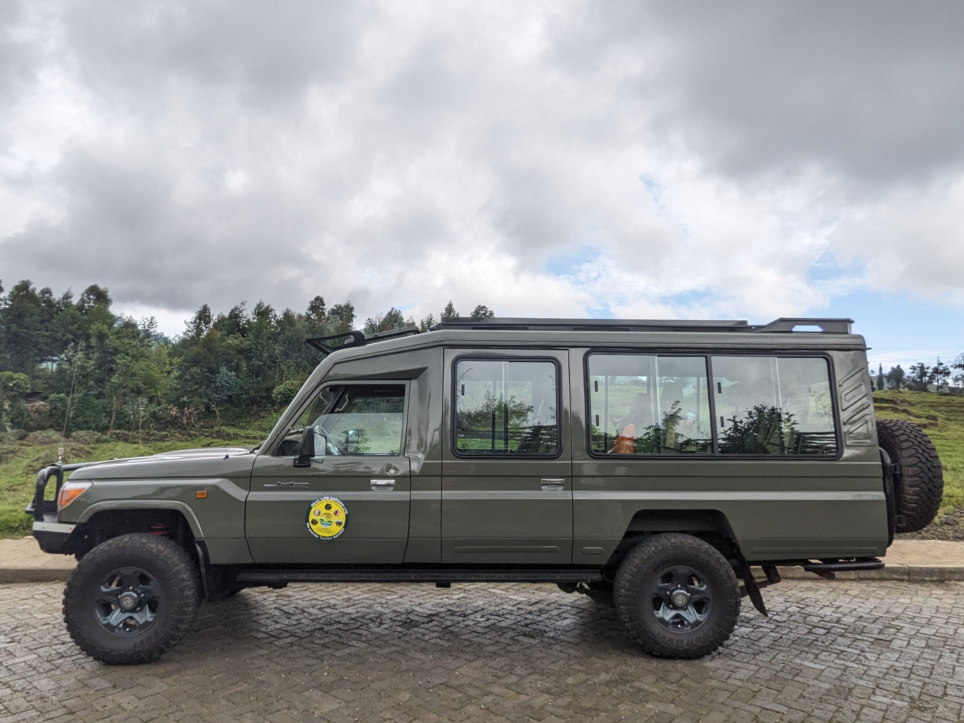 Safari moment