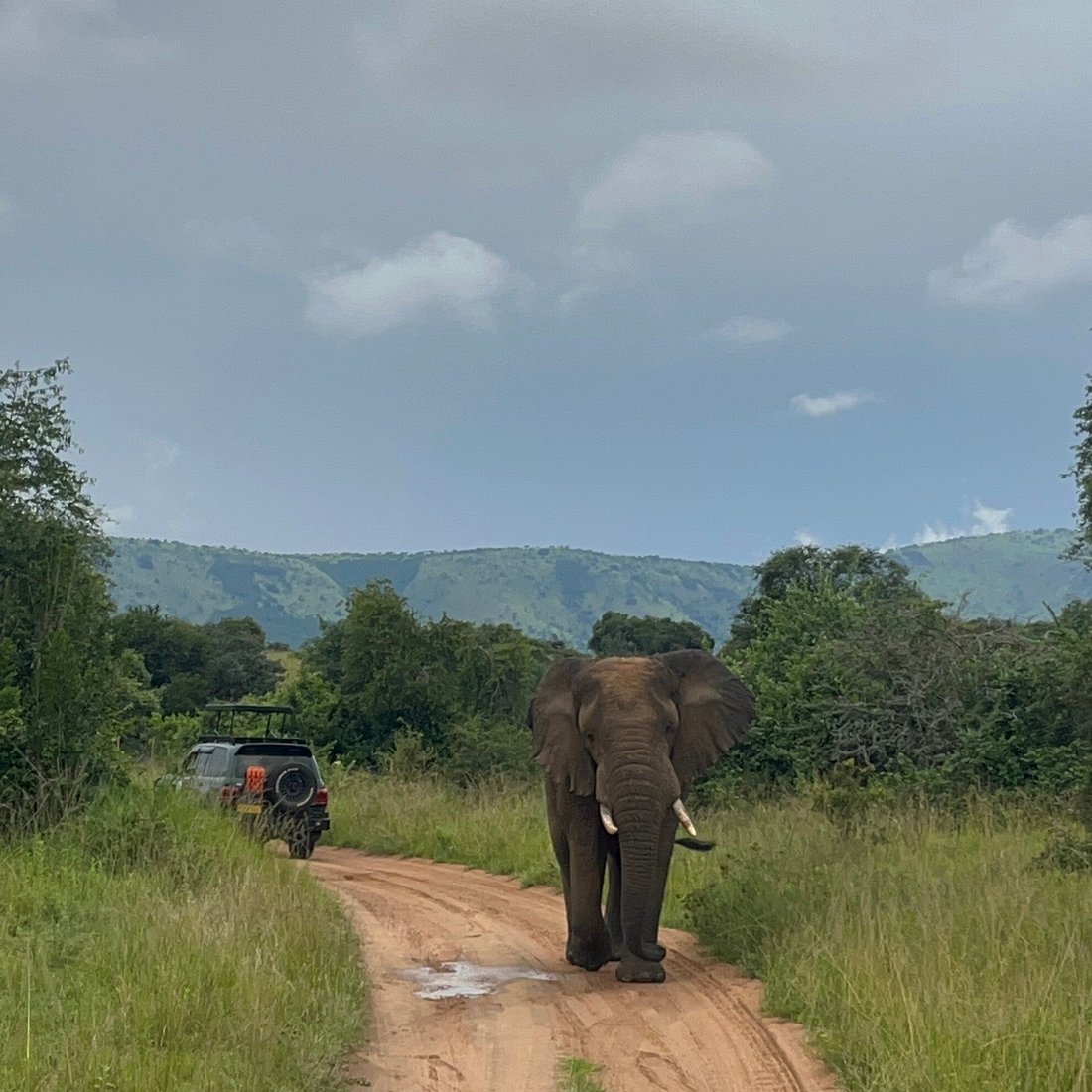 Akagera National Park